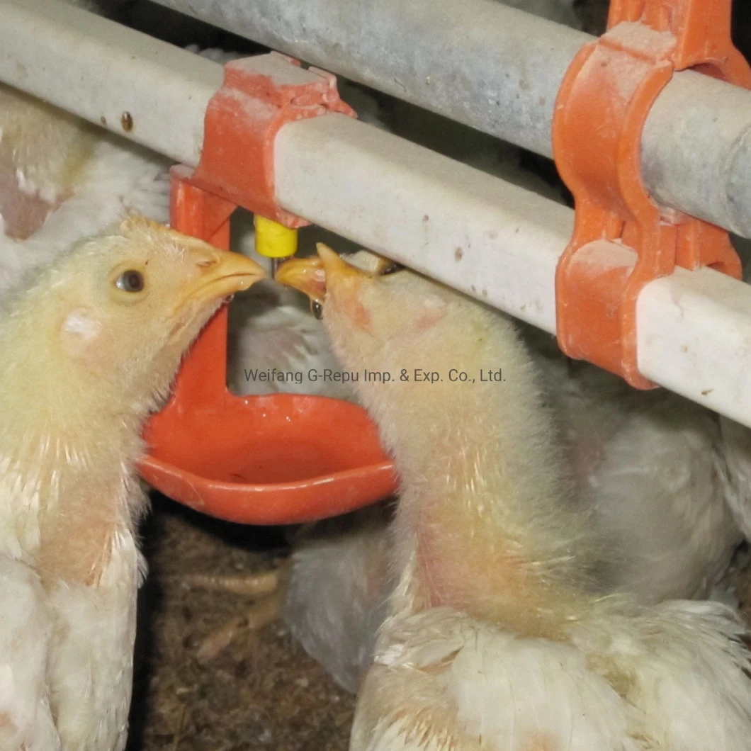 Automatic Nipple Drinking System for Broiler Chicken Farm