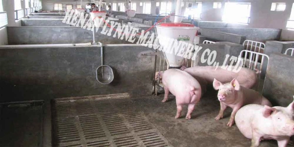 Stainless Steel Livestock Water Drinking Bowl for Pig Sow Hog Swine