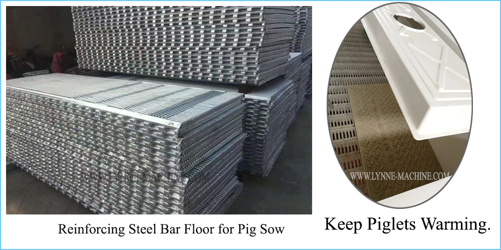Livestock 304 Stainless Steel Pig Sow Hopper Feeder for Nursery/Fattening