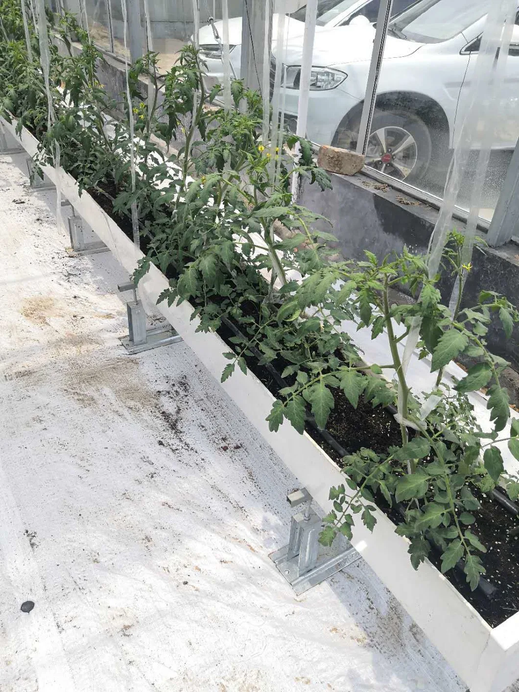 Growth Troughing/New Designed Hydroponic Trough Plastic Nft Trays Growing System