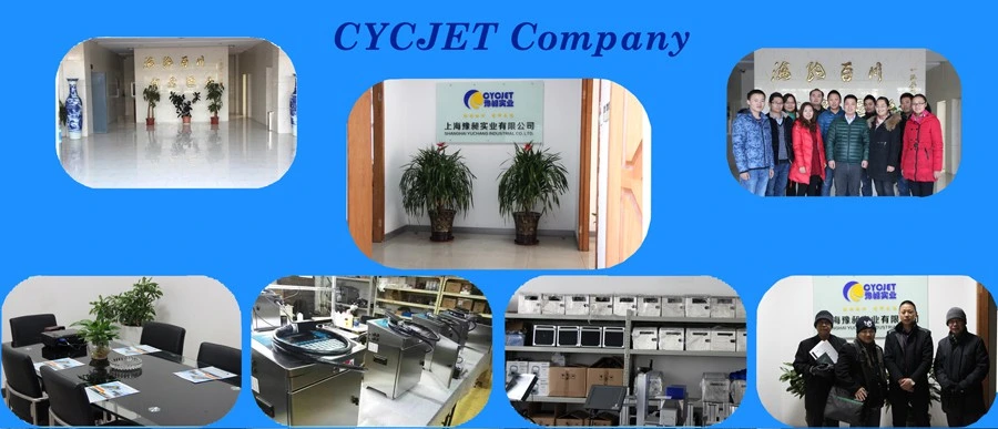 Cycjet 30W Logo Coding Multiline Information Printing Laser Marking Machine for Stainless Steel