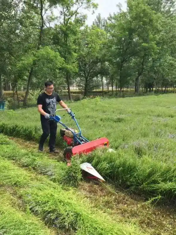 Hand Power Tiller Harvester Small Mini Rice and Wheat Paddy Cutting Harvester Machine