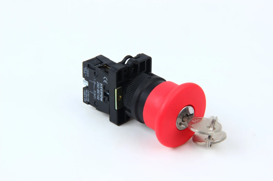 Waterproof Push Button Switch 12V