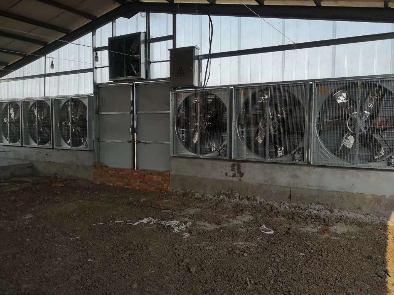 Poulty Equipment Blower/Ventilation Fan / Electric Energy Efficient Fan