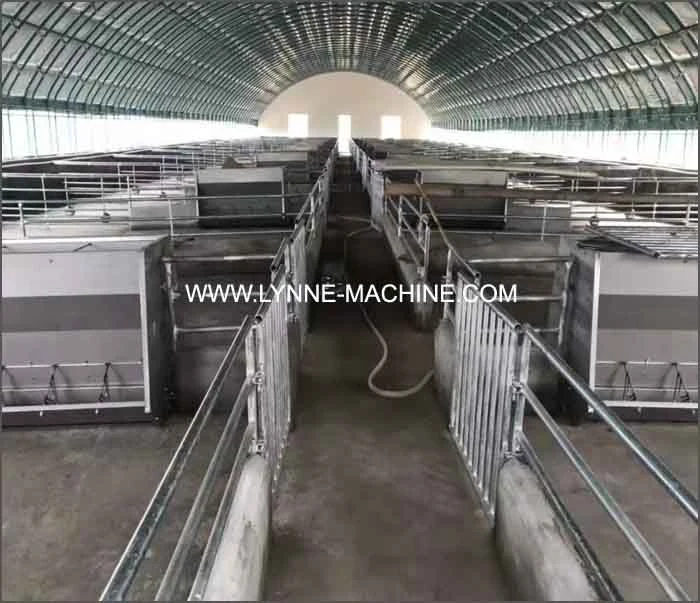 304 Stainless Steel Double Side Automatic Pig Feeder Cheap Price for Sale