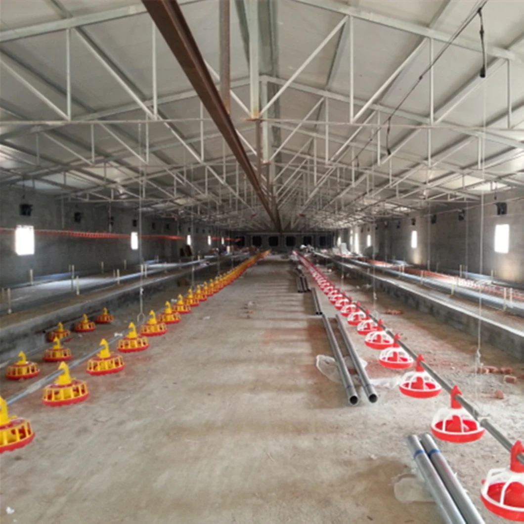 4 Holes Chicken Feeding Line Galvanized Feeding Pan Pipe for Farm House