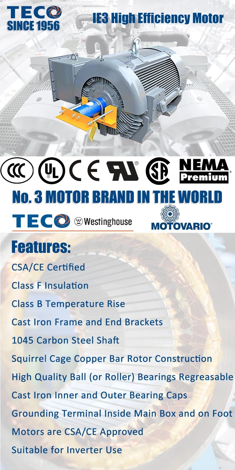 Ce Approved Teco Totally Enclosed Fan Cooled 3phase Induction Electric Motor