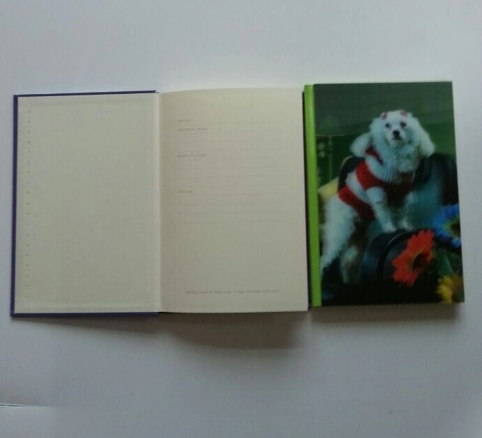 China Supplier Stationery Gift Notebook, 3D Plastic Cover Spiral Notebook