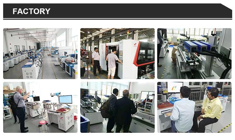 Laser Marking Machine for Metal Closed Cabinet Enclosed 20W 30W 50W