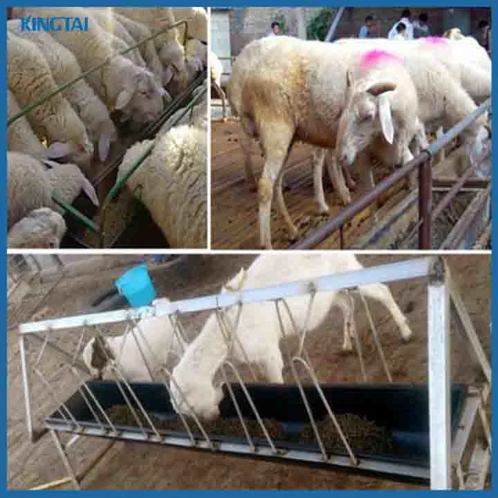 Hot Sale Sheep Farm Equipment Animal Feeders Plastic Sheep Feeding Trough