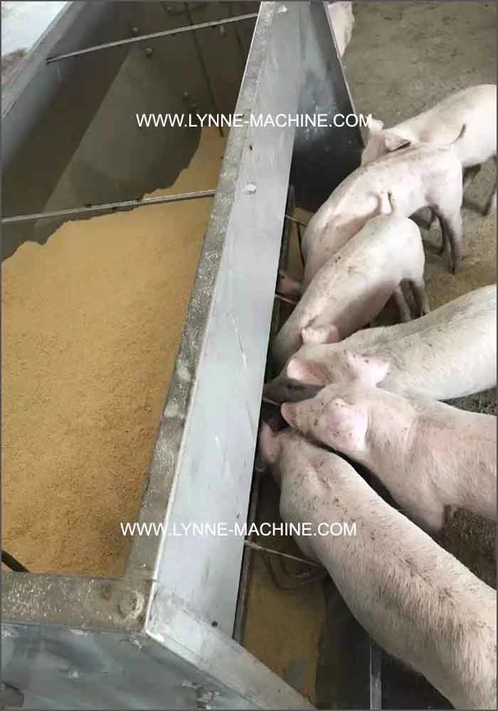 304 Stainless Steel Double Side Automatic Pig Feeder Cheap Price for Sale