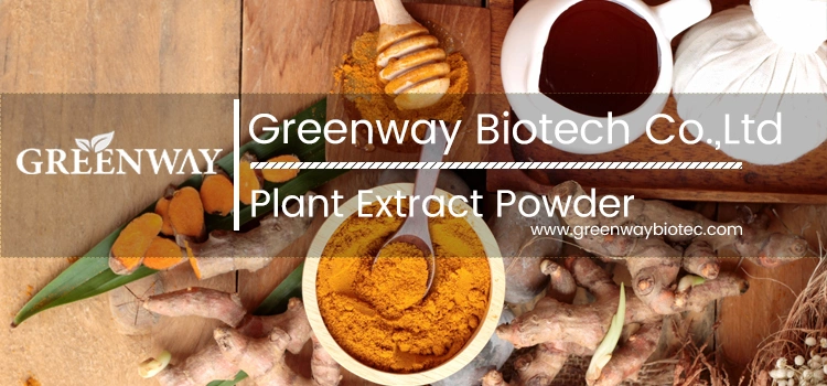 Natural Plant Extract Powder 10%~50% Polysaccharide Organic Chaga Mushroom Extract