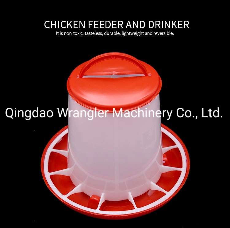 Pigeon Feeder/ Plastic Poultry Feeder and Drinker for Sale