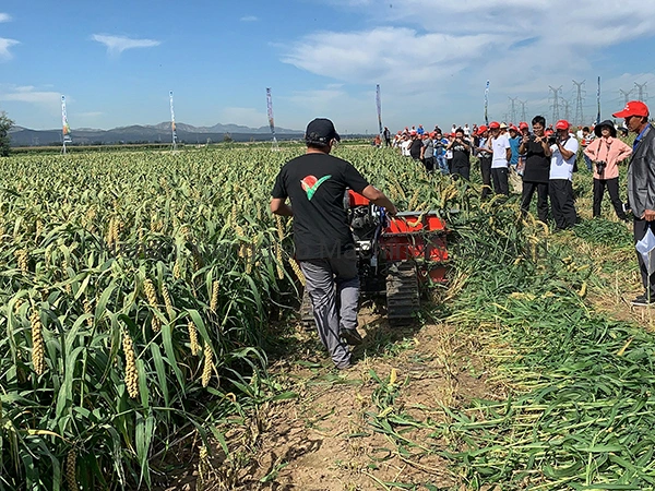 Small Hand-Held Self-Propelled Rice Wheat Sesame Soybean Mini Grain Harvester