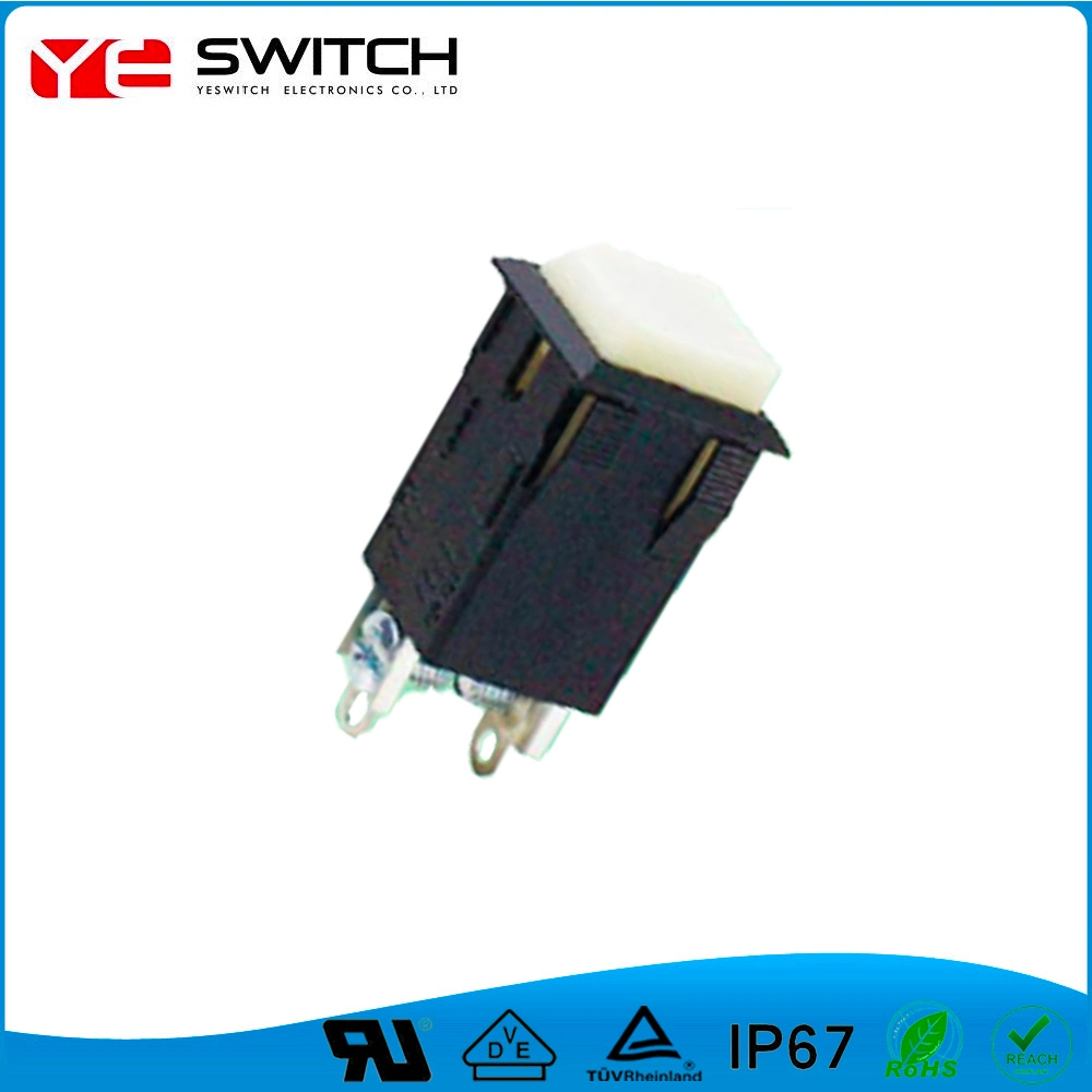 IP67 Waterproof& Dustproof Reset Reset Push Button Switch for Automotoive Parts
