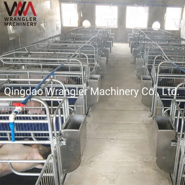 Wholesale Best Selling Professional Livestock Machinery Pig Gestation Stalls Made in China