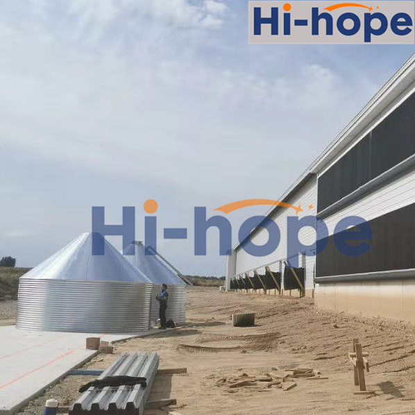 High Efficient Automatic Chicken Feeding System Silo for Poultry House