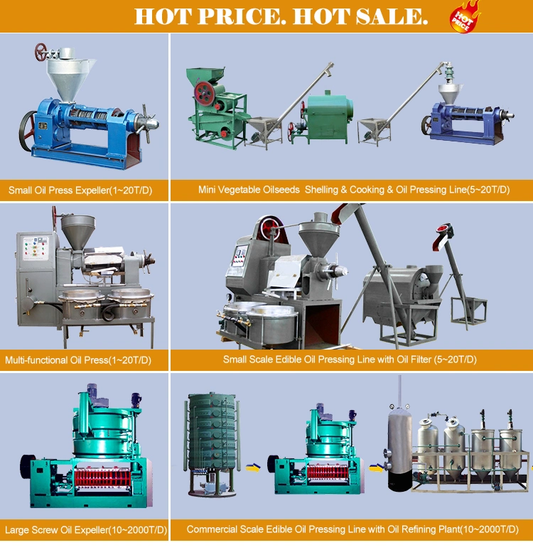 Hot Pressing Stainless Steel Sesame Palm Oil Pressing Machine Easy Operation