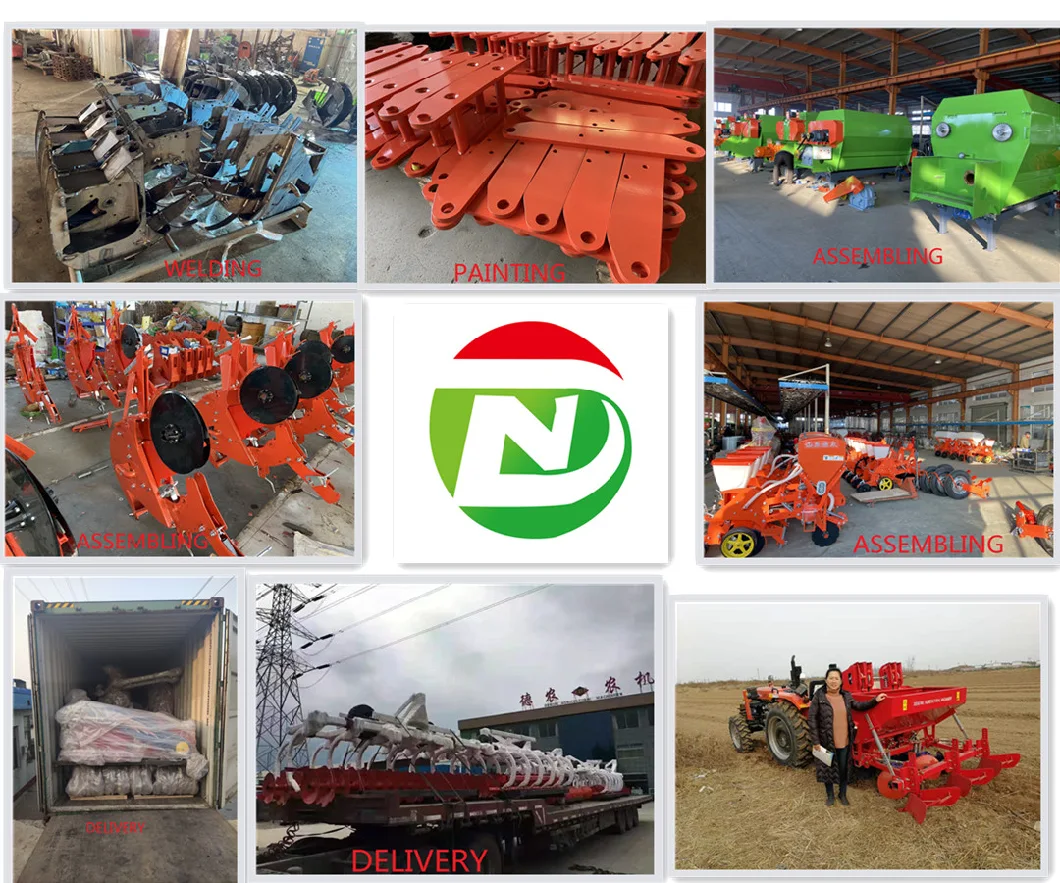 Onion Planter Cabbage Planting Corn Seeder No-Till Double Function