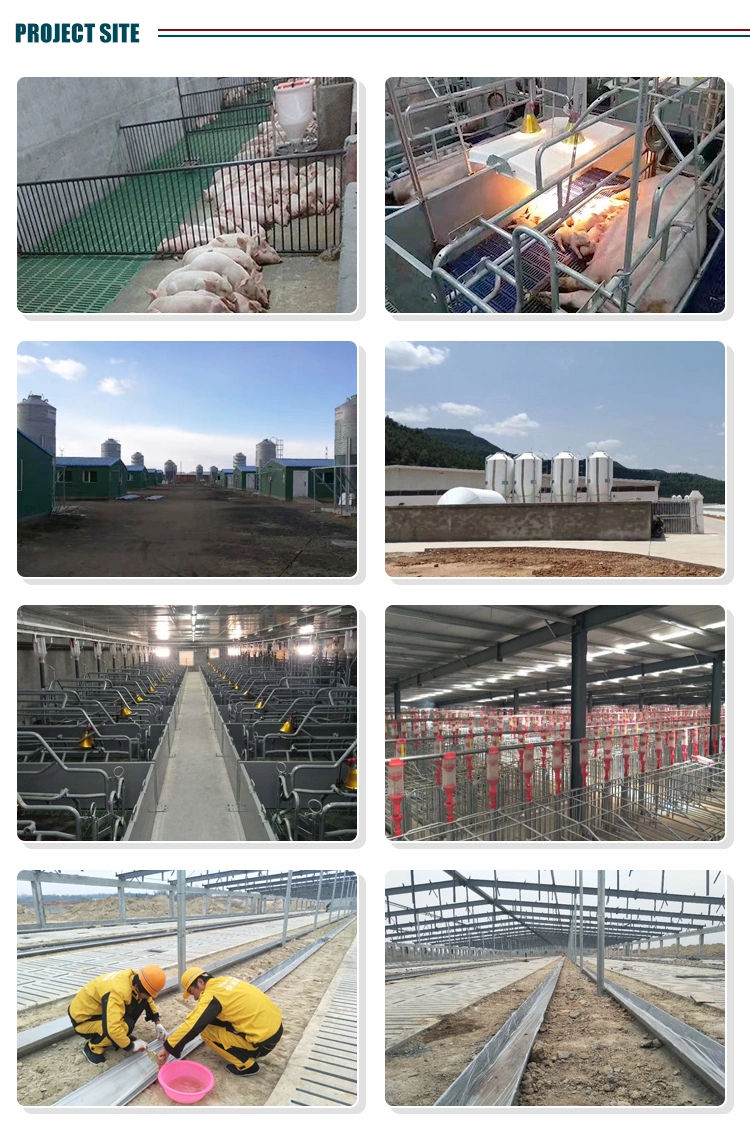 Stainless Steel Automatic Fattening Pig Trough Automatic Fattening Pig Trough