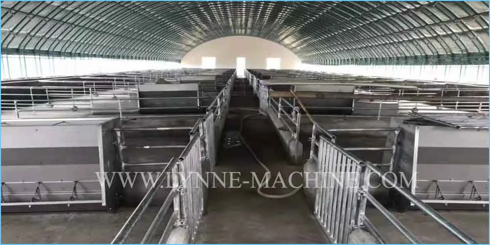 Stainless Steel Plastic Pig/Piglet/Sow/Hog/Swine Farm Feeding Trough