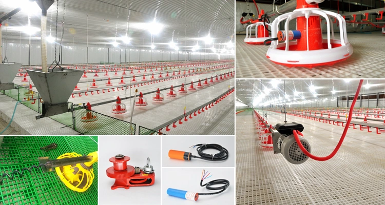 Best Price Animal Husbandry Poultry Farming Chicken House Equipment