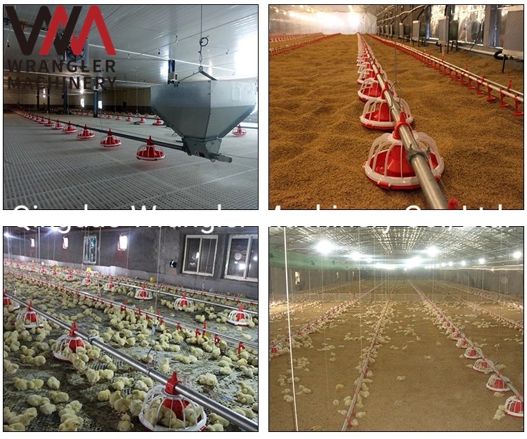 Automatic Chicken Feeding System for Poultry House Ground Floor Feeder Broiler Farm Equipment China Price