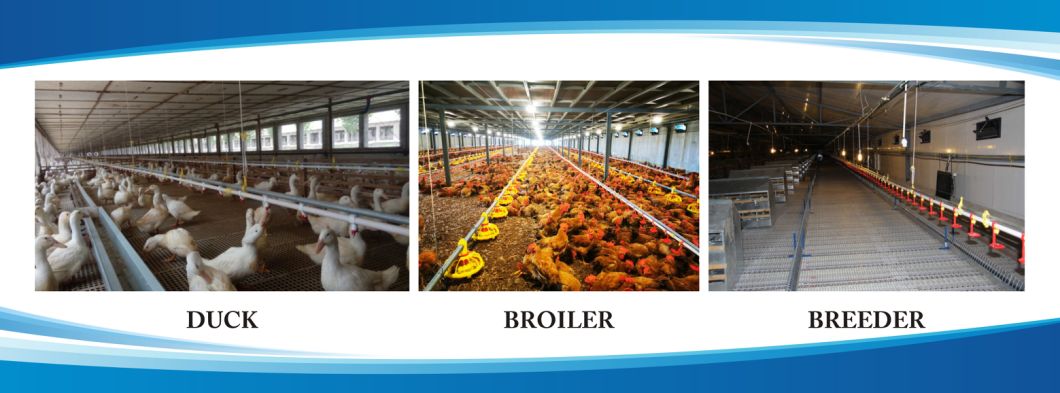 Poultry Nipple Drinker for Automatic Chicken Drinking System