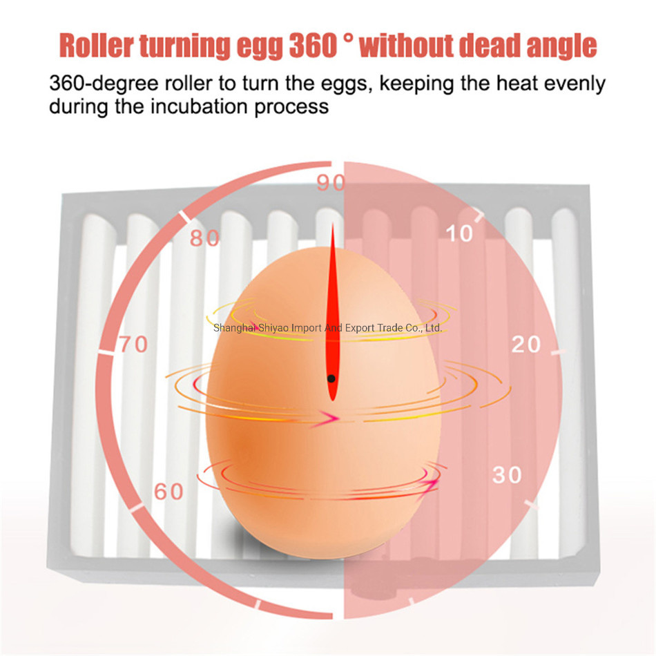 98% Hatching Rate Chicken Egg Incubator 36 PCS 2.5 Kgs Egg Incubator