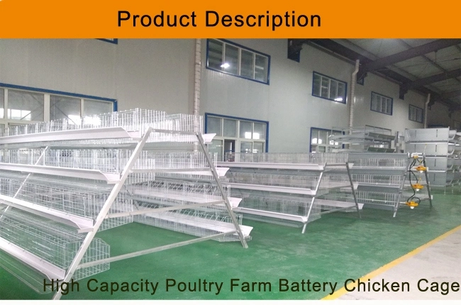 Galvanized Chicken Breeding Farm Machinery Battery Layer Cage with Automatic Feeding Equipment