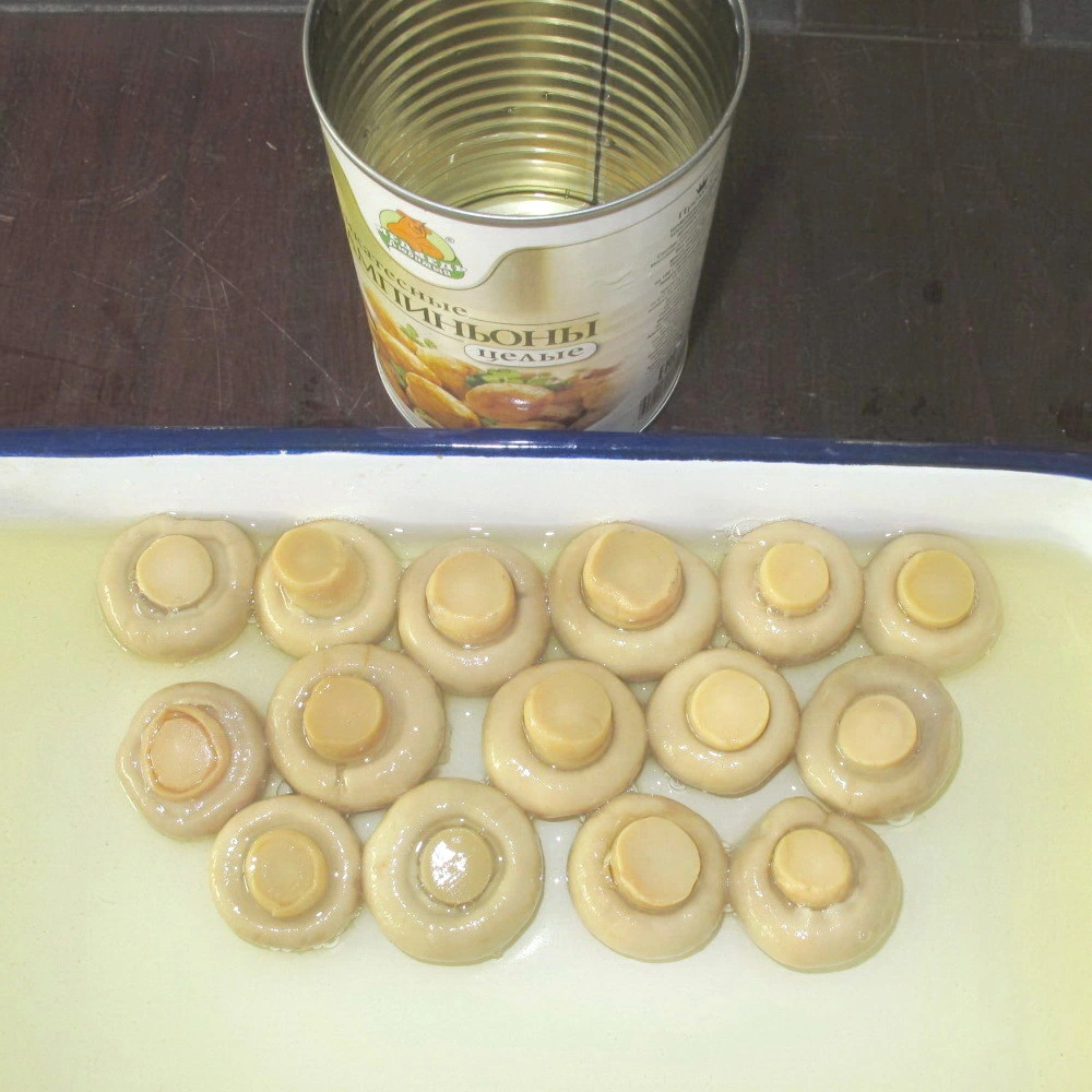 Good Quality Canned Mushroom Sliced Mushroom in Brine Mushroom Slices with Factory Price