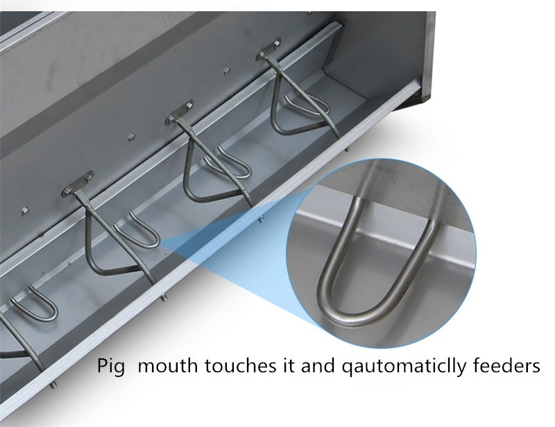 Double Size Stainless Steel Swine Fatten Feeder Pig Farm Trough