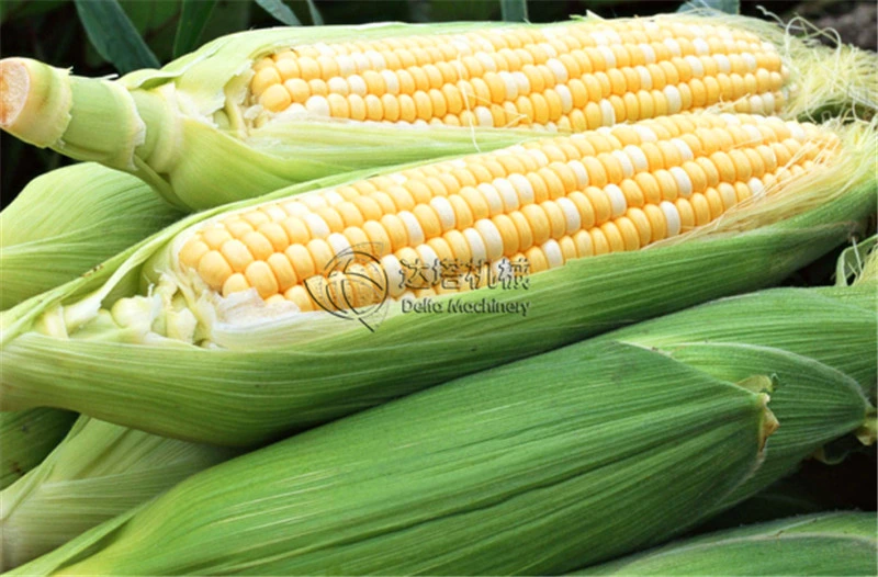 Corn Kerneler Corn COB Kernel Remover Fresh Sweet Corn Sheller Thresh Corn Machinery