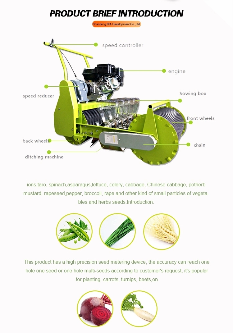 10 Rows Automatic Seed Planting Machine Onion Planter Vegetable Seeder for Sale