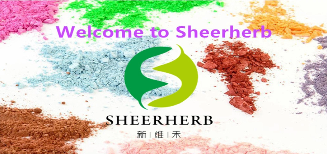 Sheerherb Natural Plant Extract Organic Lion's Mane Mushroom Extract for Immune Regulation and Anticancer Herb Herbal