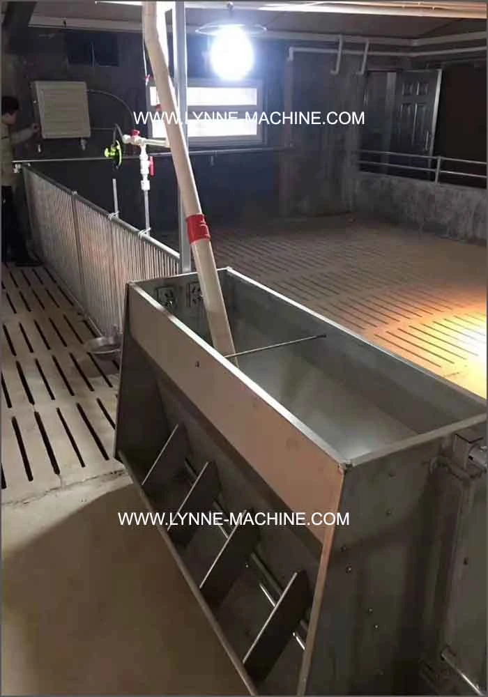 304 Stainless Steel Double Side Automatic Pig Feeder Cheap Price for Sale