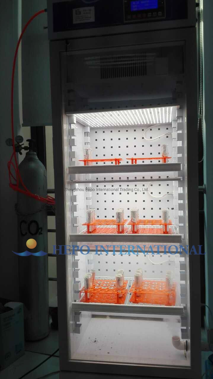 Lab Constant Temperature Biological Cell Growth Incubator (HP-CTB180)