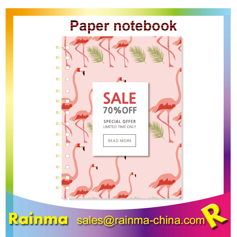 Hot Sale School Custom spiral Notebook, Paper Notebook