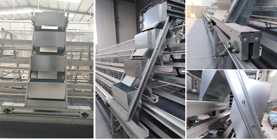 Long Lifespan Hot Galvanized Poultry Farm Equipment Layer Chicken Cage