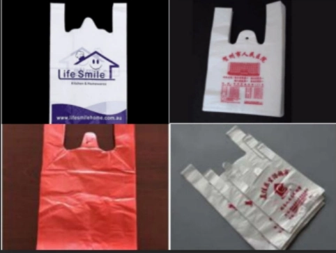 Vest Bag Machinery/Bag Machine with Feeding/Sealing/Cutting/Punching/Output/Printting