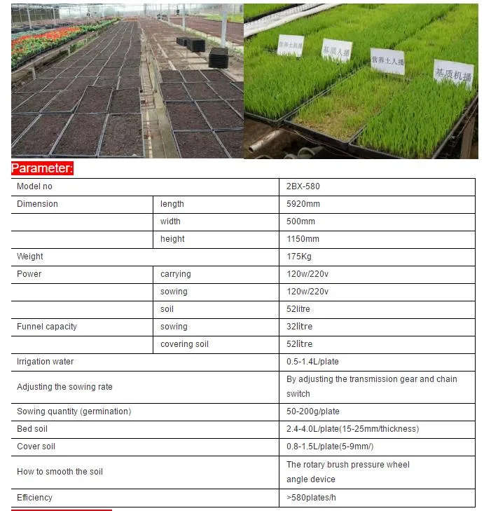 Rice Transplanter Garlic Planter Onion Planter