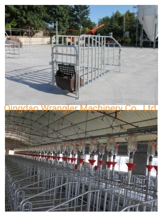 Pig Finish Stall Individual Stall Single Farrowing Crate Double Crate Sow Crate Pig Weaning Stall