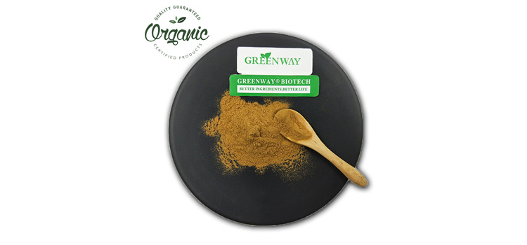 High Quality Plant Extract Powder Organic Money Head Extract Powder 10-50% Polysaccharide Lion's Mane Mushroom Extract
