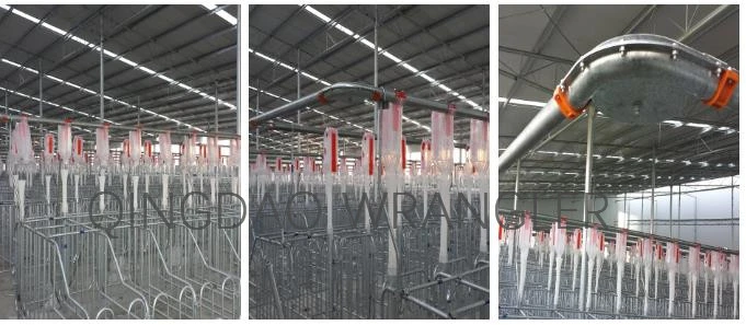 Conveying Chain for Poultry Pig Automatic Feeding Line System