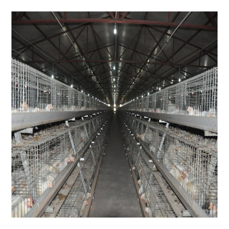 Poultry Farming Equipment Poultry Battery Cages Chicken Cage for Broiler