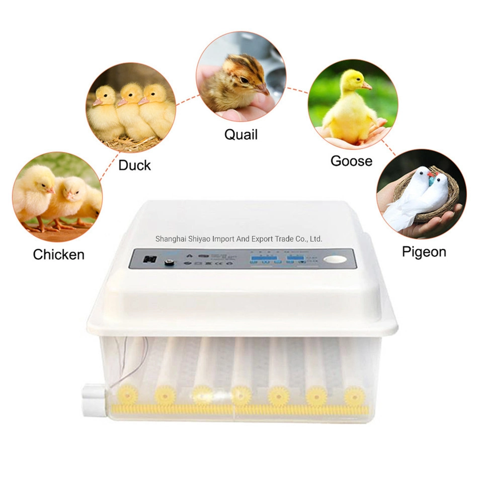 Full Automatic Intelligent Control Household Poultry Egg Incubator Cabinet