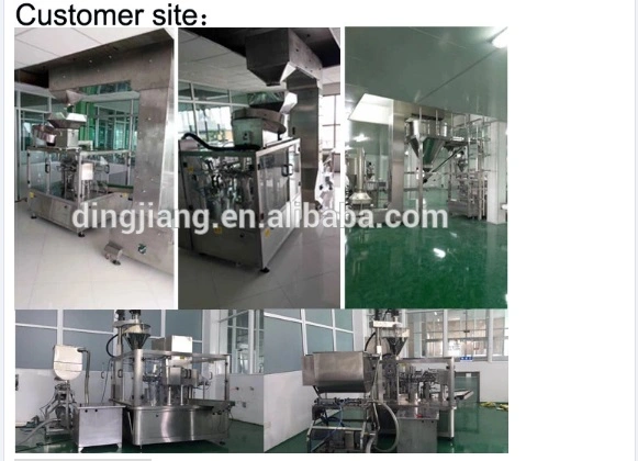 Peanut Biscuits Dog Food Rotary Premade Bag/Zipper Bag/Doy Bag/Doypack Filling Sealing Packaging Machine