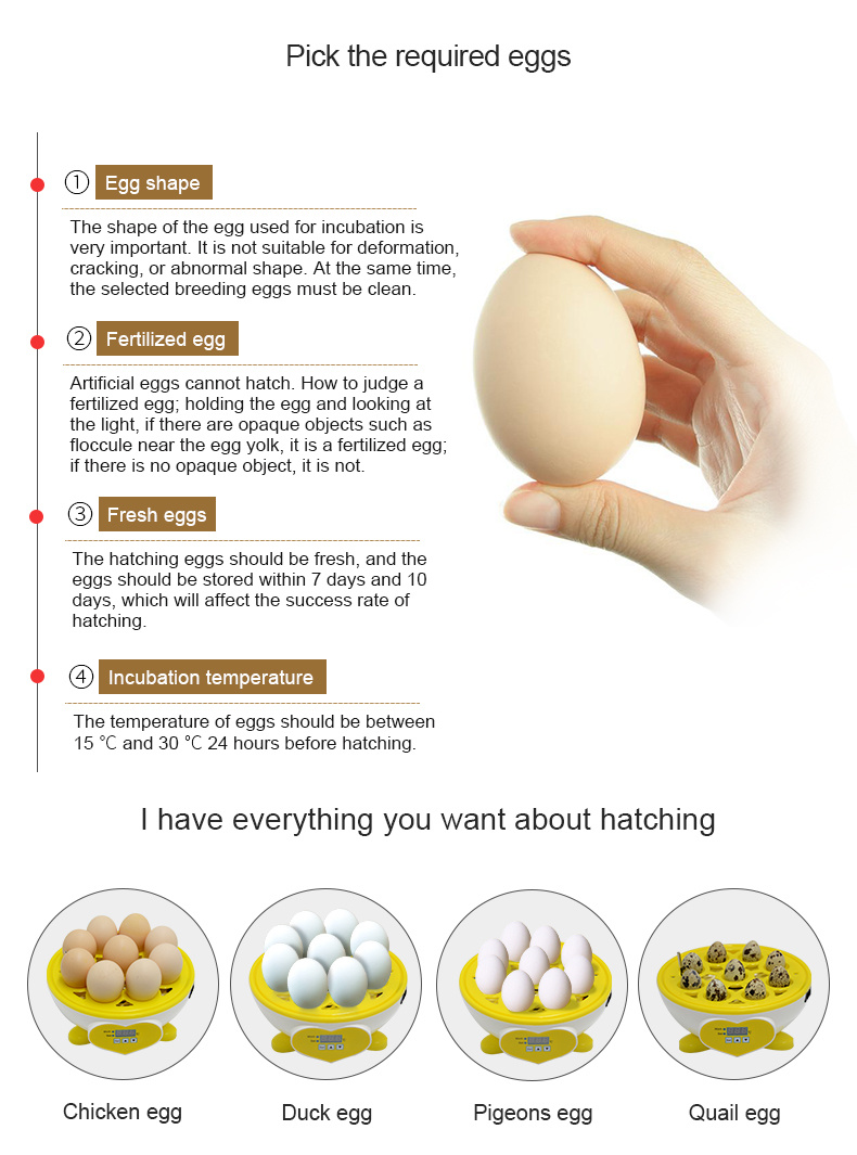 High Hatching Rate Ht-9 Mini Automatic Chicken/Duck/Quail/Pigeon Egg Incubator