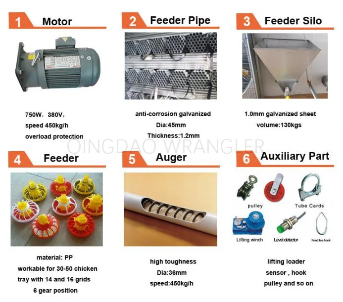 Poultry Shed Broiler Chicken Farm Equipment with Nipple Drinking Line and Feeding Pan