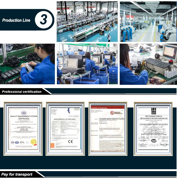 6 Position Slide Switch Switch 3 Position Momentary Switch